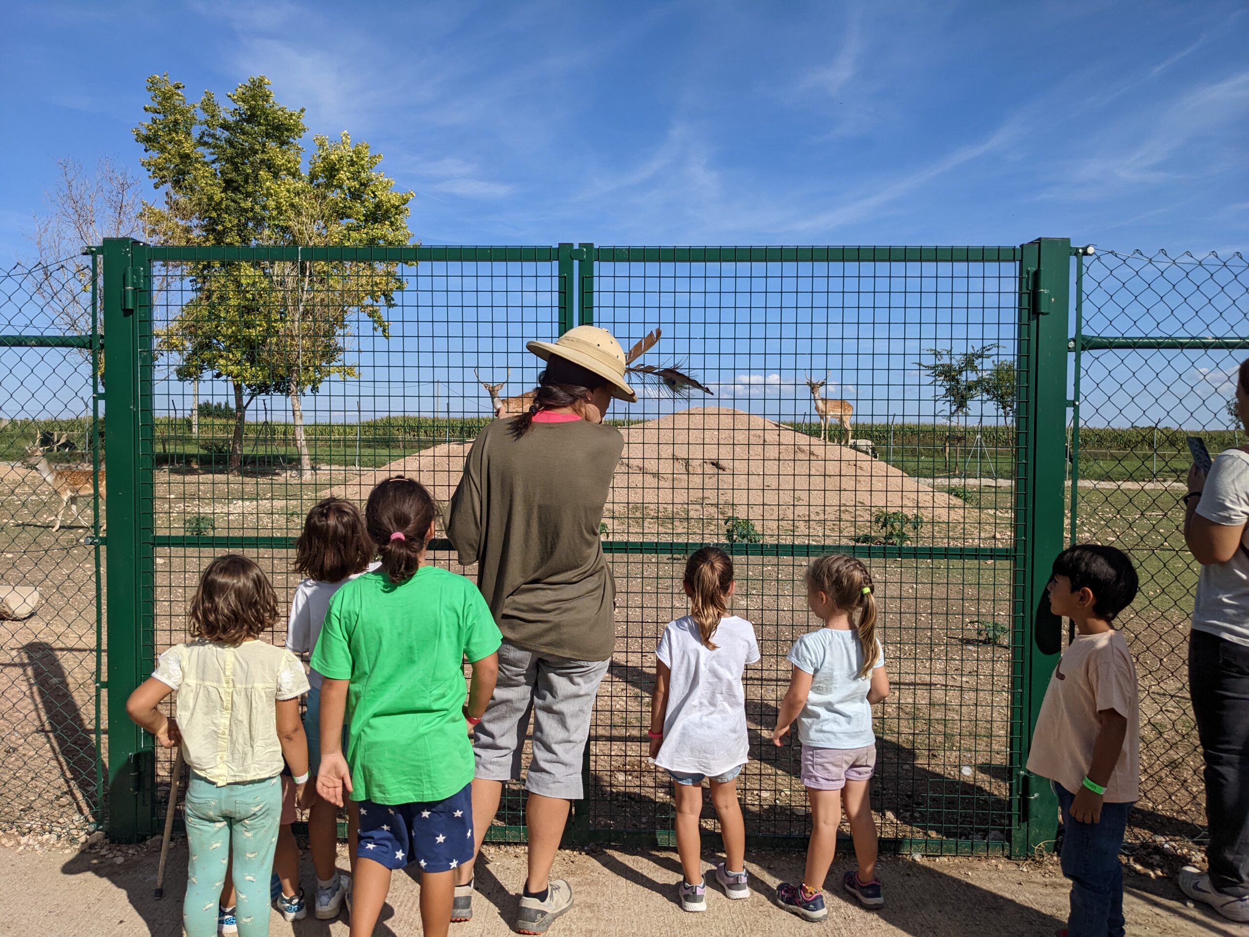 Monitor ensenyant als alumnes de la granja escola la Manreana un grup de cèrvols.