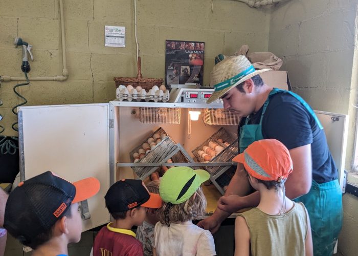 PXL_20230910_102040837.MP PXL_20230910_102040837.MP